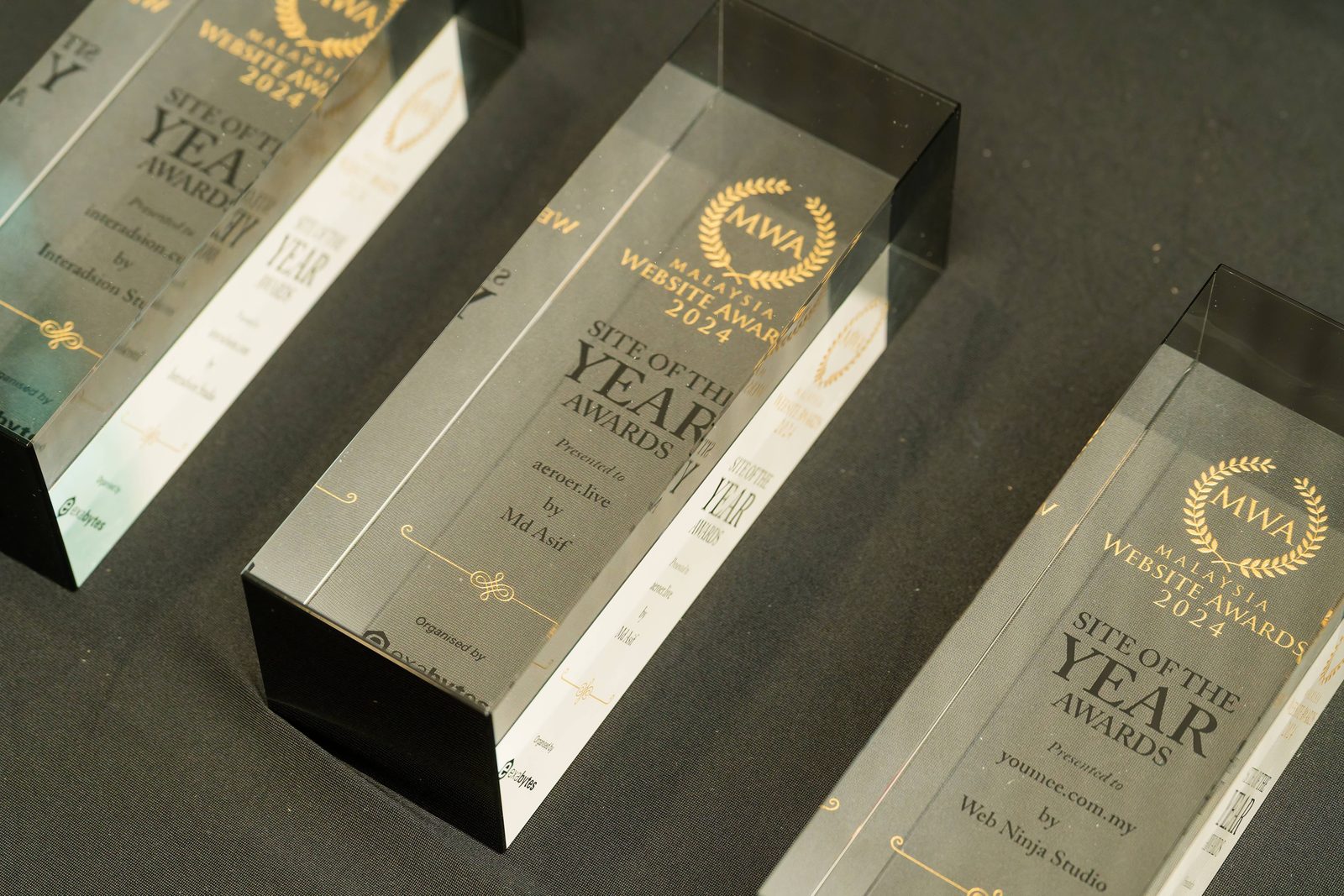 MWA 2024 Site of the Year crystal trophies